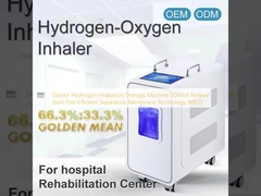 Médecine de thérapie par inhalation d'hydrogène 3000 ml soulager la douleur articulaire technologie de séparation efficace à membrane WEIZI