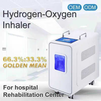 Bon prix 110v 220v Appareil de thérapie par inhalation d' hydrogène à domicile PEM 3000ml en ligne