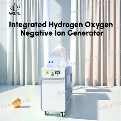 Good price Inhalateur d'oxygène à hydrogène à ions négatifs de 7 L/min en ligne