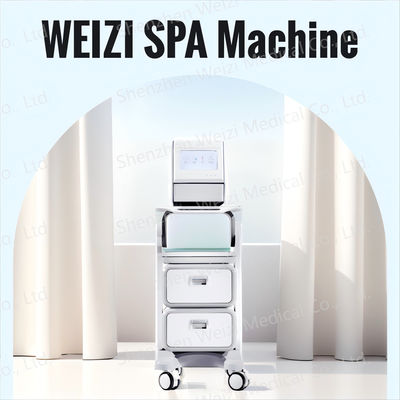 Good price Appareil SPA à hydrogène d' eau alcaline avec technologie des ions négatifs en ligne