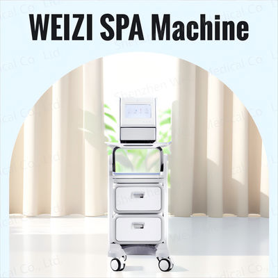 Good price Générateur de bain d'eau à l'hydrogène anti-radicaux DC12V Anti-âge en ligne