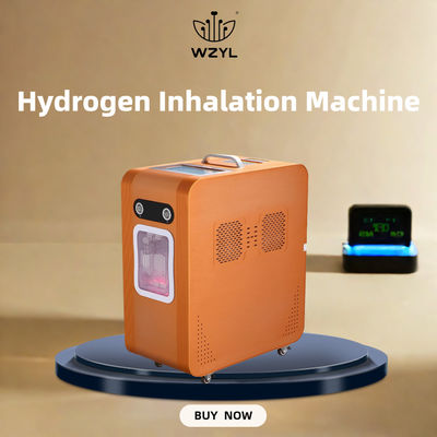 Good price AC220V Inhalateur d'oxygène à l'hydrogène Machine d'inhalation d'hydrogène 3000 ml/M en ligne