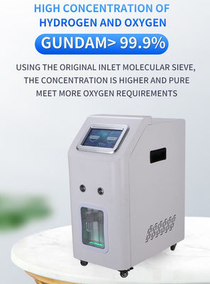 Good price Inhalation d'hydrogène 3000 ml et biocarburant à hydrogène PEM pile à combustible pour usage domestique Weizi en ligne