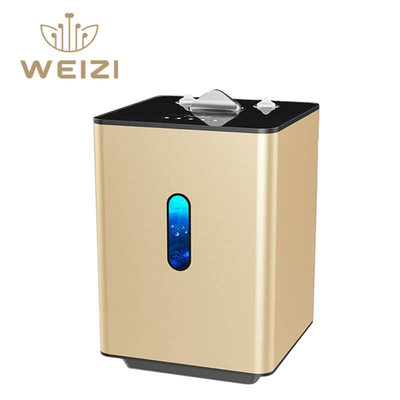 Good price Machine d'inhalation d'hydrogène SPE PEM 225 ml/min avec une pureté de 99,992 % en ligne