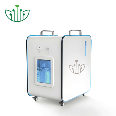 Good price Appareil d'inhalation d'hydrogène de 900 ml avec sortie H2 de 600 ml/min en ligne